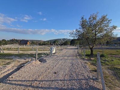 Arsa-Tarla