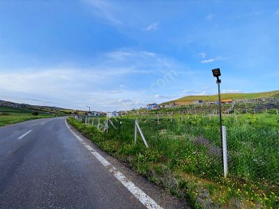 Arsa-Tarla
