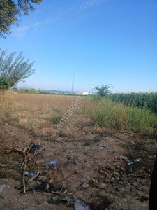 Arsa-Tarla