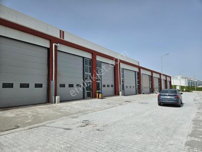 İşyeri-Dükkan & Mağaza