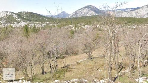 Arsa-Tarla