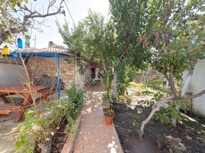 Konut-Müstakil Ev