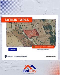 Arsa-Tarla