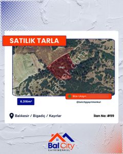 Arsa-Tarla