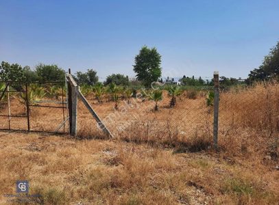 Arsa-Konut İmarlı