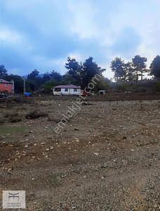 Arsa-Konut İmarlı