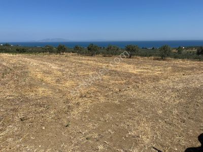 Şarköy Yaşam Alanı