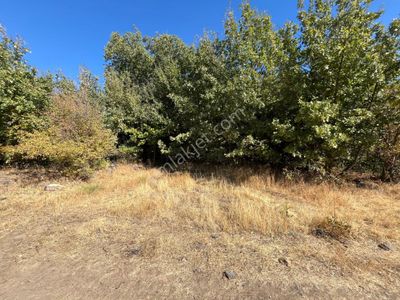 Öz Gaye Emlaktan Develi Zile Çaybağları Mevkiinde Satılık Hobi Bahçesi