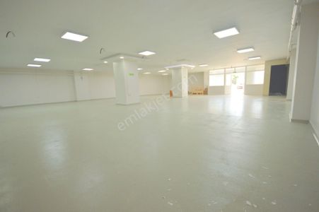 İşyeri-Dükkan & Mağaza