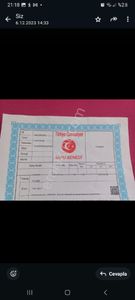 Arsa-Zeytinlik