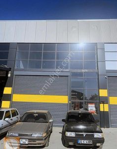 İşyeri-Dükkan & Mağaza