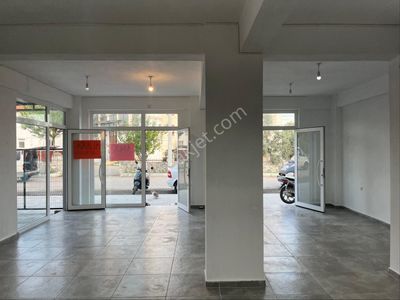 İşyeri-Dükkan & Mağaza