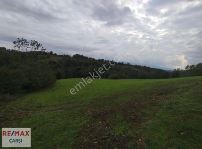 Arsa-Depo, Antrepo İzinli