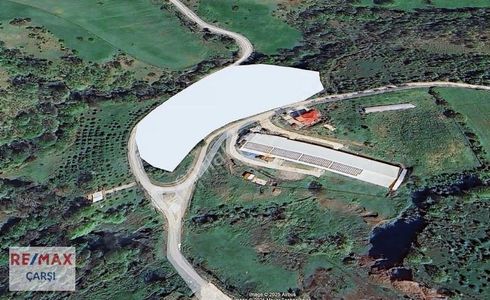 Arsa-Depo, Antrepo İzinli