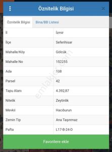 Arsa-Zeytinlik