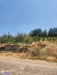 Arsa-Tarla