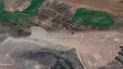 Arsa-Bağ & Bahçe