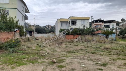 Arsa-Konut İmarlı