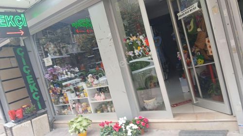 İşyeri-Dükkan & Mağaza