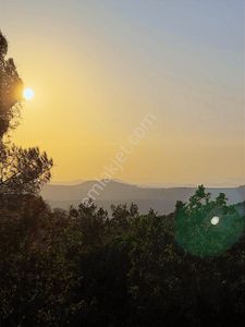 Arsa-Konut İmarlı