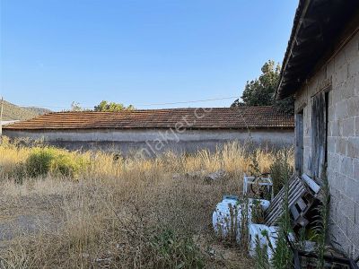 Arsa-Konut İmarlı