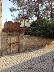 Konut-Müstakil Ev