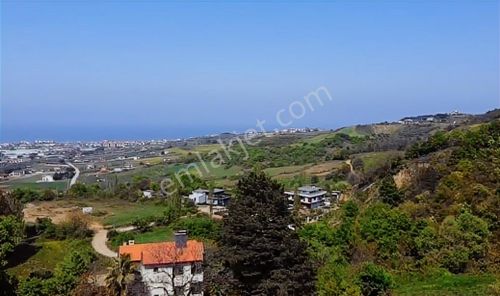Arsa-Villa İmarlı