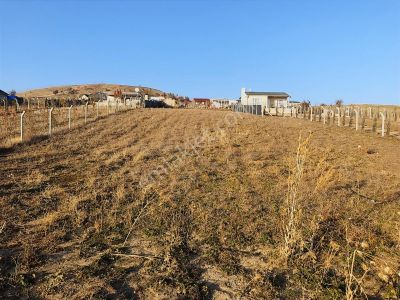 Arsa-Tarla