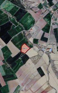 Arsa-Tarla