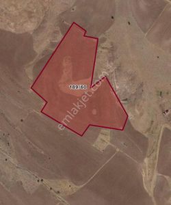 Arsa-Arazi