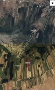 Arsa-Tarla