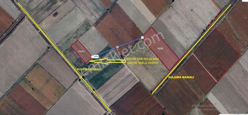 Arsa-Tarla