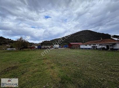 Arsa-Tarla