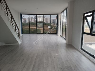 İşyeri-Dükkan & Mağaza