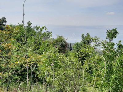 Arsa-Villa İmarlı