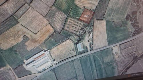 Arsa-Tarla