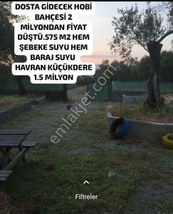 Arsa-Zeytinlik