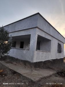 Arsa-Zeytinlik