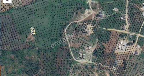 Arsa-Villa İmarlı