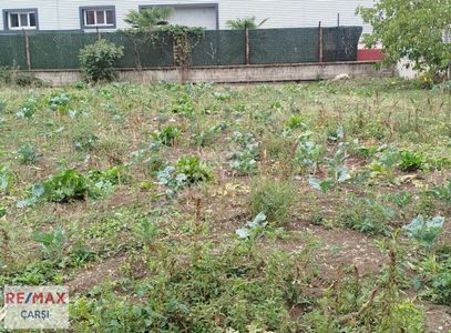 Arsa-Ticari İmarlı