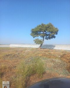 Arsa-Tarla