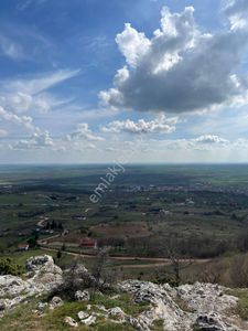 Arsa-Arazi