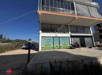 İşyeri-Dükkan & Mağaza