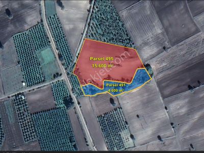 Arsa-Tarla