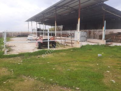 Arsa-Bağ & Bahçe