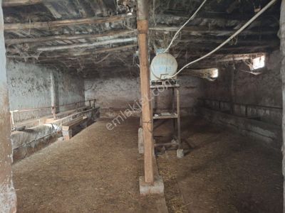 Konut-Köy Evi