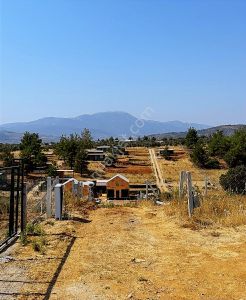 Arsa-Tarla