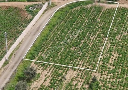 Datça Kızlan'da Yolu Olan Satılık 580 M2 Arazi