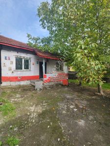 Konut-Müstakil Ev