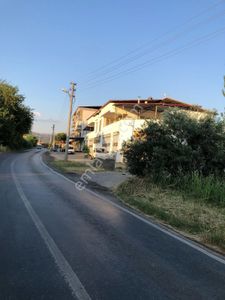 Arsa-Arazi